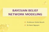 Module 5 Bayesian belief network modelling