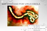 Enfermedad por ebola