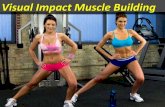 Visual Impact Muscle Building is the best program to gain muscle effectively