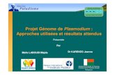 Projet génome de Plasmodium: Approches utilisées et résultats attendus