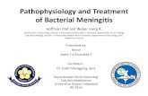 Pathophysiology and Treatment of Meningoencephalitis - A journal reading