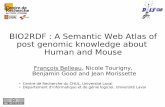 Bio2RDF : A Semantic Web Atlas of post genomic knowledge about Human and Mouse