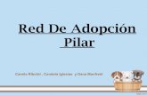 Red de adopcion pilar