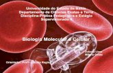 Bio celular e molecular