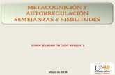 Metacognición autorregulación semejanzas_similitudes