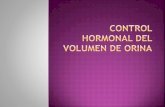 Control hormonal del volumen de orina, Pruebas con las que se valora la funcion renal, influencia de los riñones en la presion arterial