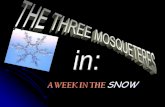 A week in the snow by pedro guembe, miguel amorena and alberto amestoy