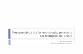 Perspectivas De La Economia Peruana En Tiempos de crisis