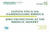 Bird protection at Ribnica Quarry, Bosnia and Hercegovina