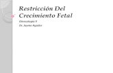 Restricción del Crecimiento Fetal