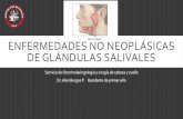 Enfermedades no neoplásicas de glándulas salivales