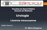 Litotricia intracorporea