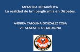Memoria metabólica. Implicaciones de la hiperglicemia en diabetes.