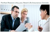 Perfect reason why you need Life insurance Canada