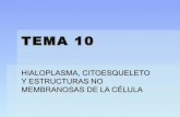 Unidad 10.  hialoplasma, citoesqueleto y estructuras no membranosas