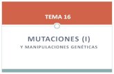 Tema 16. Mutaciones (I)