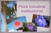 Flora Industrial Institucional (Album Virtual)