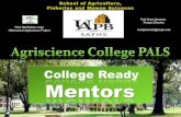 College ready mentoring
