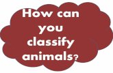 Classify animals