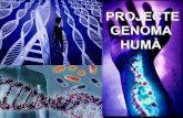 Genoma Humà