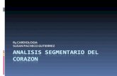Exposicion Analisis Segmentario Del Corazon