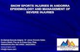 Snow sports injuries in andorra, epidemilogy and management of severe injuries.