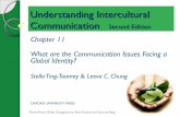 IBS354 PP Chapter 11 Module 13