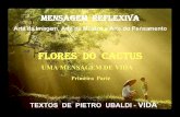 Flores Do Cactus   1ª Parte Textos Pietro Ubaldi