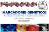 Charla marcadores genéticos GIBA 2011