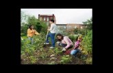 Micro Economics Project: Community Garden at MIIS