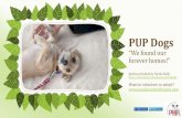 PUP Dog Rescue Fundraiser Slideshow