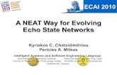 A NEAT Way for Evolving Echo State Networks