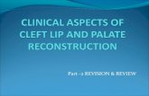 Clinical aspects of cleft lip and palate reconstruction 2 rec