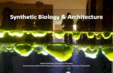 Synthetic biology and architecture