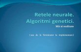 Retele Neurale / Algoritmi Genetici
