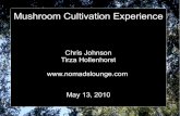 Mushroom Log Inoculation Experience - Spring 2010