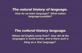 09 the origins of language
