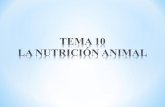 Tema 10.la nutrición animal