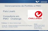 Equipe - Consultoria em PMO Challenge - PMO em LISARB