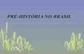 Pré-História no Brasil
