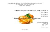 Analise do mercado de citrus no utimos 4 anos e mercado  futuro