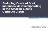 Apresentação do artigo "Reducing Costs of Spot Instances via Checkpointingin the Amazon Elastic Compute Cloud"