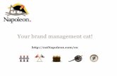 Napoleon -  your brand management cat EN