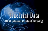 Blue Print Data Introduction - Jan 2010