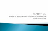 Credit Risks of Bangladesh: Consideration of a Place for Investment