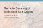 Remote sensing of biological soil crusts