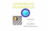 Liposomes and nanoparticles