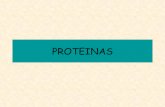 Bioinformatica Proteinas