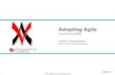 Adopting Agile - a journey to agility
