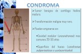 Condroma & condroblastoma